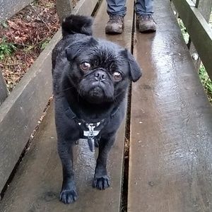 Meet your Posher, Kat